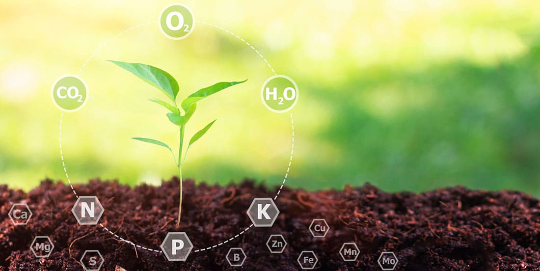 Imagem demonstrando a formulação de adubos NPK. Uma planta no solo com o ciclo dos elementos químicos a sua volta.
