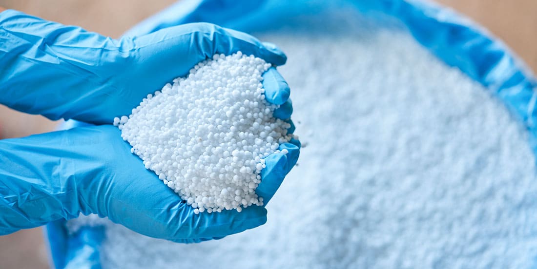 Um saco de fertilizantes fosfatados branco aberto, com as mãos de uma pessoa segurando um punhado do fertilizante com as duas mãos enluvadas.