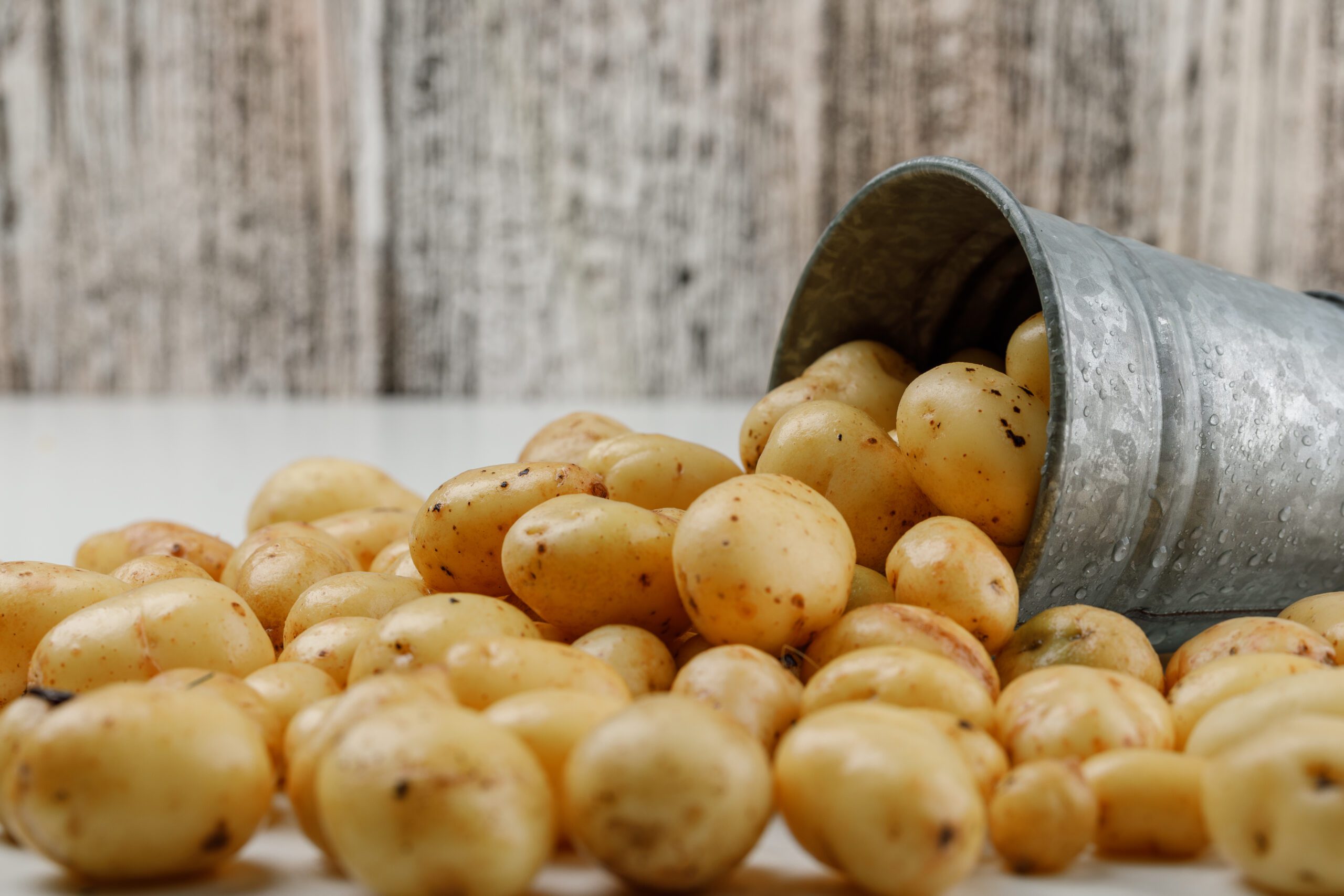 Cultivo de Batata: Guia Completo de Adubação para Batata Inglesa